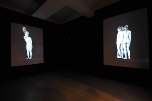 David Michalek, Galleria Poggiali e Forconi