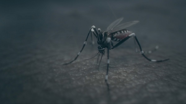 Pedro Neves Marques, Aedes aegypti (2017), video (digital animation, color, no sound), 1'50''. Courtesy the artist and Galleria Umberto di Marino.